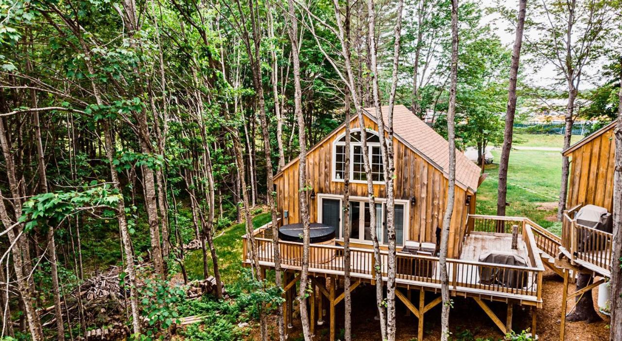 Holiday home Moonlight Treehouse At Hospitality Belgrade