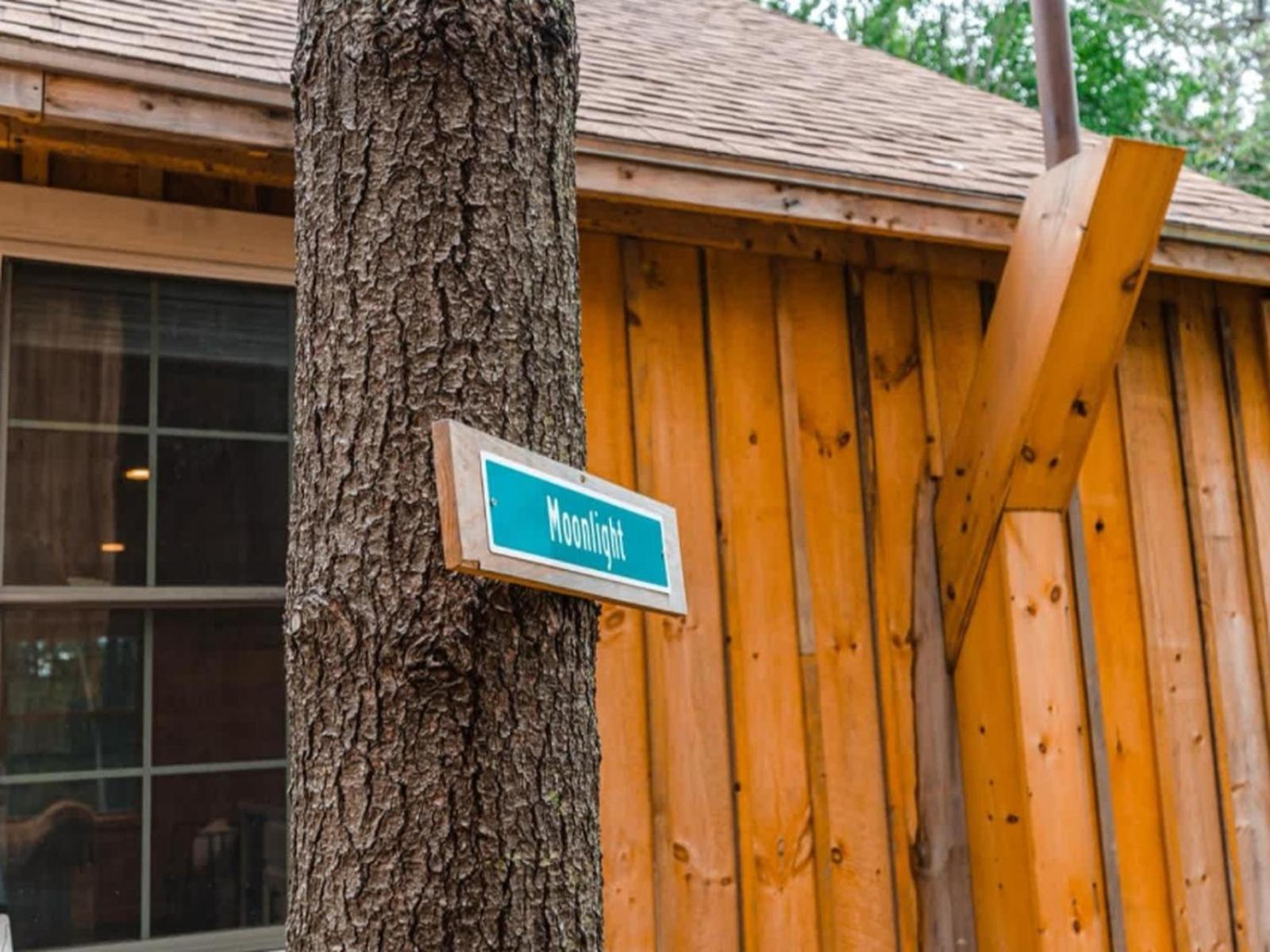 Moonlight Treehouse At Hospitality