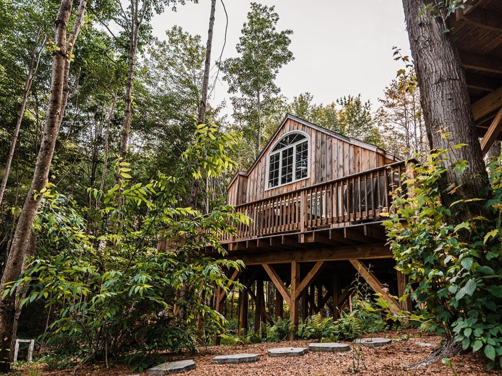 Moonlight Treehouse At Hospitality Hébergement de vacances *